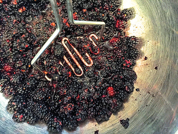 Berries